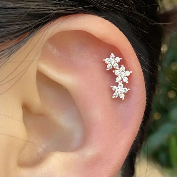 WW | Tragus Helix 925 Silber Ohrringe Für Damen
