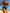 WW | Bikini Fleur - Elegant und Sexy