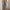 WW | Das Ultimative Party Kleid