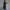 WW | Cocktailkleid für Frauen Stilvoll