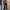 WW | Trendiges Design - High-Waist-Paillettenanzug