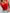 WW - Crop-Top Damen mit Ausschnitt