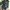 WW | Zeitloses Design Im Vintage-Stil