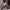 WW | Klassische Herren Oxford Schuhe