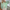 WW – Gebreid vest met knoopsluiting
