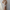 WW | Elegante und Zeitlose Kleid