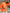 – Übergroßer, lockerer Rollkragenpullover