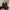 WW | Damen Wildleder Tote Bag Stilvolle Frauentasche