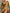 WW | Dreiteiliges Bikini-Set mit Blumen