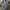 WW | Maxi Kleid Mit Blumenmuster