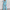 WW – Set aus Blazer und Hose