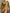W&W- Stylisches Bikini-Set