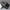 WW | Klassische Herren Oxford Schuhe