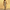 WW | Damen Jumpsuit Frauen Eleganter Jumpsuit Mit Pailletten Und Glitzer
