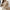 WW | Beige Einfarbig Langarm Pullover mit hohem Ausschnitt