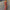 WW | Vibrant Gestreiftes Maxikleid mit Taillenbetonung