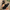Schritte | Stilvoll und Bequem: Damen Slippers