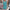 WW | Modische Damenkleid mit Print
