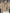 WW | Kaschmir Pullover Damen Runder Ausschnitt Weicher und Eleganter Strickpullover