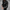 WW | Erstklassige Lederjacke