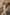 WW | Maxi Kleid Champagner