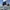 WW | Dehnbare Herrenshorts