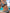 WW-Bikinis mit floralem und geometrischem Druck