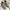 YachtLoafers | Elegante und bequeme Lederschuhe
