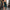 WW - Elegantes, plissiertes Minikleid