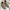YachtLoafers | Elegante und bequeme Lederschuhe
