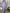 WW | Vintage Bedrucktes Maxikleid mit Reverstaschen