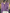 WW | Cashmere Pullover Damen Eleganter V-ausschnitt, Weich & Komfortabel