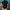 WW | Polo Shirt mit zeitlosem Design
