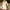 WW | Damenmode Elegantes Slim-fit Langarm Rüschenkleid