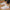 WW | Atmungsaktive Slip-On-Sneaker mit Strick-Obermaterial