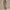WW | Chic Damen Bronzing Langärmelig Slim Fit Kleid