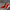 WW | Stylische Dicke Wildlederschuhe Mit Rutschfester Sohle Und Bequemer Passform
