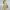 WW | Stilvolles Sommerkleid für den Urlaub