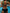 WW gestreifter Bikini
