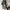 WW | blazer mit karierter jacke