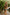 WW | High Waist Colorblock Marine Cut Back Crop Bikini Set