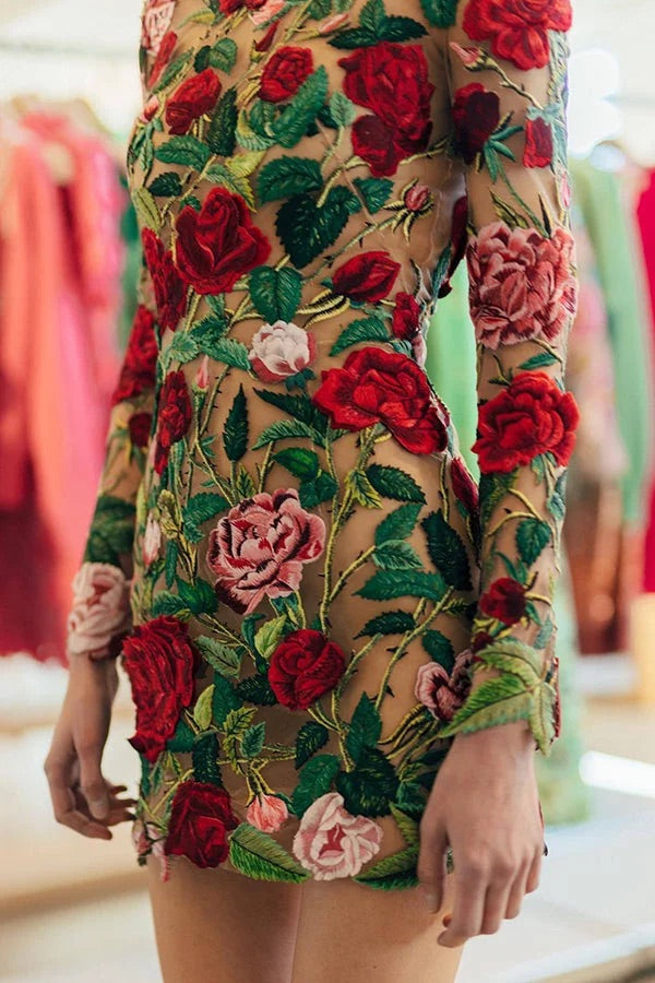 WW | Rosie Moments Floral Applikation Langarm Mini Kleid