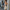 WW | Bodycon-Bandagenkleid mit Kettenakzente