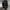 Pulloverkleid mit Polokragen