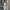 WW | Bodycon-Bandagenkleid mit Kettenakzente
