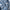 WW | Bestickte Blumenbluse mit Knopfleiste