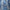 WW | Bestickte Blumenbluse mit Knopfleiste