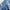 WW | Bestickte Blumenbluse mit Knopfleiste