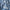 WW | Bestickte Blumenbluse mit Knopfleiste