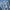 WW | Bestickte Blumenbluse mit Knopfleiste